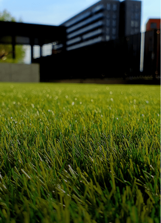 Landscape turf